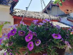 -民食香·腊排骨野生菌美食(木府店)