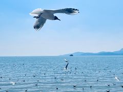 -滇池海埂公园