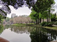 -晓港公园
