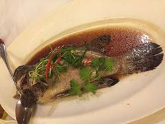 -唐宫海鲜舫