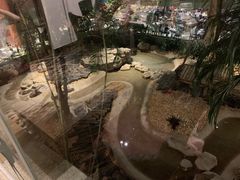 -麒麟中餐厅·经典粤菜·地道菜式老字号(广州长隆酒店)