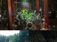 -碧水湾温泉