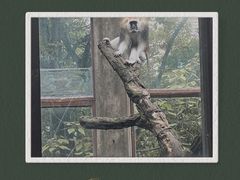 -昆明动物园