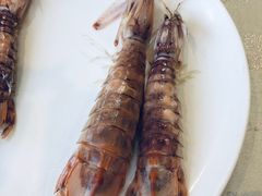 138块的虾姑-外沙疍家棚酒楼