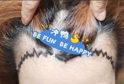 -大麦微针植发全国连锁