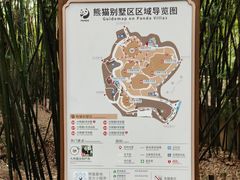 景点-成都大熊猫繁育研究基地