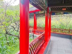 -南汇桃花村