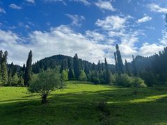 -新疆那拉提国家旅游度假区