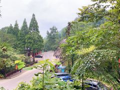 -大围山国家森林公园