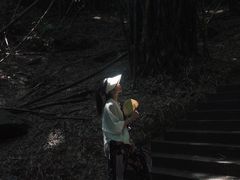 -凤栖山