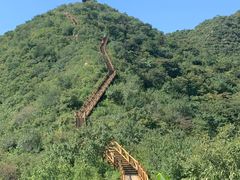 -大岭沟猕猴桃谷风景区