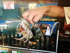-真浪花园海鲜餐馆