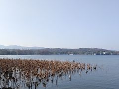 -西湖游船