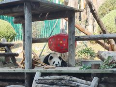 -大连森林动物园