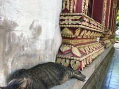 -帕辛寺