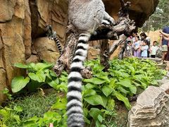 -北京野生动物园