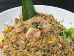 -OLD TREE老树咖啡·西餐厅(台山人工湖店)