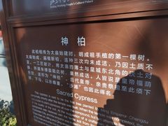 -北京市劳动人民文化宫(太庙)