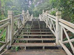 -南宁良凤江国家森林公园