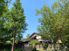 -西山漾湿地公园