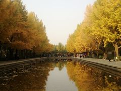 -玲珑塔公园