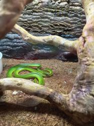 -酷嗒动物文化乐园(cutezoo西溪乐天城店)