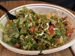 -油梨树 AVOCADO TREE(亮马桥店)