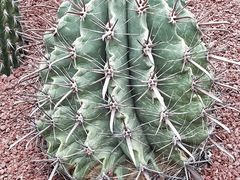 -南通洲际绿博园