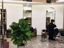 -INSTYLE造型·明星店
