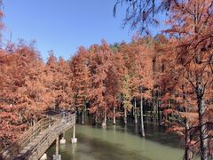 -青山湖景区