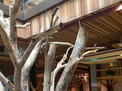 -渔太泰漓江小馆·广西融合菜(西街店)