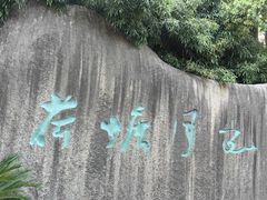 -荷塘月色湿地公园·向阳花洲