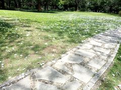 -南宁南湖公园