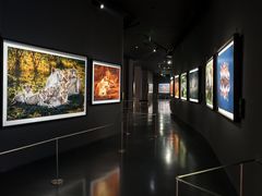 -罗红摄影艺术馆