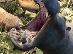 -陕西自然博物馆