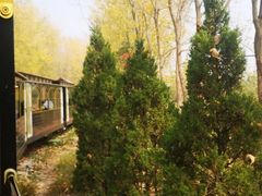 -合肥滨湖国家森林公园