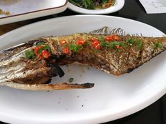 -大锅强·蒸海鲜青岛菜(吾悦广场店)