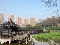 -龙头寺公园