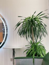 -名作·臻美Hair SaLon