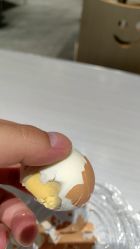 -厦门市妇幼保健院(总院区)