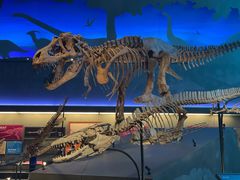 -贝林大翅鲸简餐厅(国家海洋博物馆店)