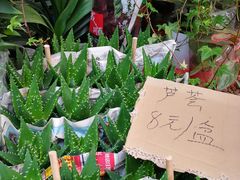 -秦美花卉(天朗·莱茵小城2期店)