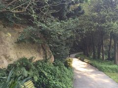 -厦门悦华酒店
