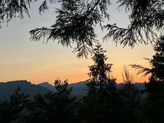 -重庆睡佛山森林公园