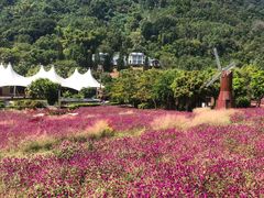 -德庆盘龙峡生态旅游区