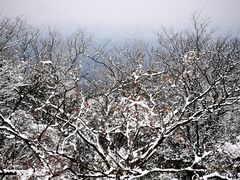 -紫金山山顶公园