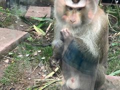 -重庆动物园·东二门售票处