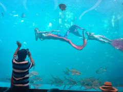 -瑞德姆美人鱼海底演艺主题餐厅(亚龙湾店)