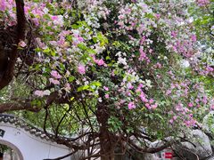 -深圳国际园林花卉博览园