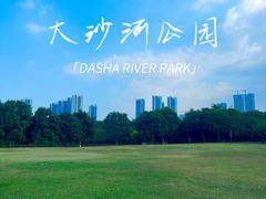 -大沙河公园